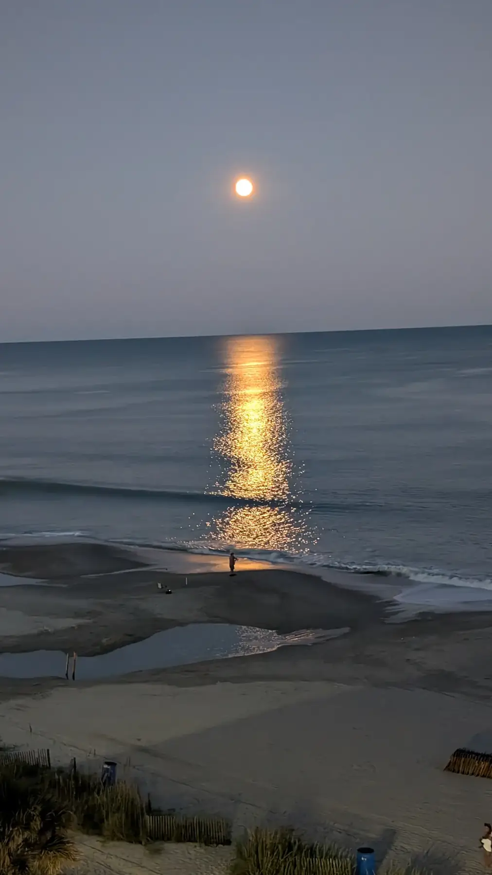 A full moon laying a golden path across the ocean, a lone fisherman on the beach below